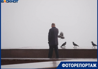 «Не видно ничего!»: пугающее явление накрыло Волгоград — и это не просто туман