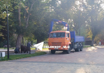 В центре Волгограда демонтировали популярный арт-объект