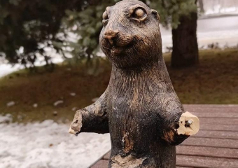 Обломавшего лапы суслику арестовали в Волжском 