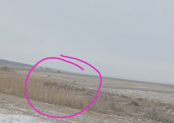 Волгоградец снял на видео еще один рухнувший непознанный летающий объект