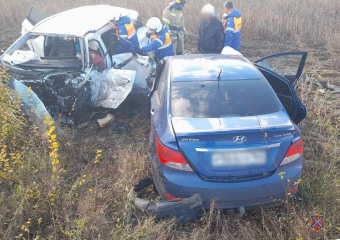 Бастрыкин забирает у МВД дела о гибели троих человек в ДТП в Волгоградской области 