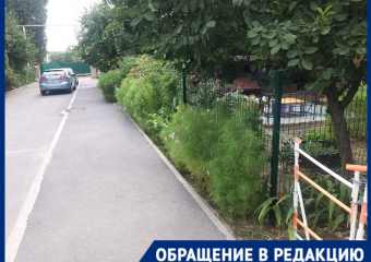 “На верёвочке должна водить этого выродка”: сходившего в туалет в палисадник ребенка-аутиста оскорбили в Волгограде 