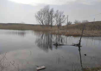 Труп волгоградца нашли на границе с Ростовской и Воронежской областями 