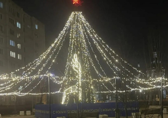 Круче не нашлось: показываем лучшую елку Волгоградской области по итогам странного голосования