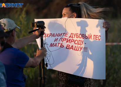 Саженцы взамен вырубленных дубов вымерзли в Волго-Ахтубинской пойме: обещали 400 тысяч