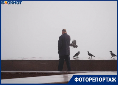 «Не видно ничего!»: пугающее явление накрыло Волгоград — и это не туман