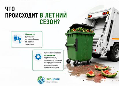 Сезон арбузов: как правильно выбрасывать остатки бахчевых культур 