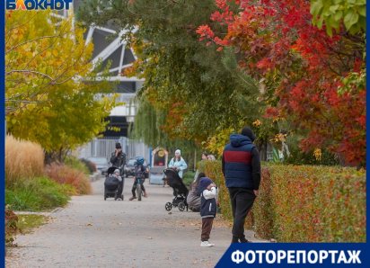 Золотой подарок: как Волгоград проводил непривычно яркий октябрь