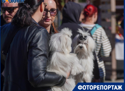 Толпы обожающих своих питомцев собачников собрались в центре Волгограда по важному поводу