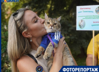У столичных звезд эстрады нашлись сильные конкуренты в Волгограде