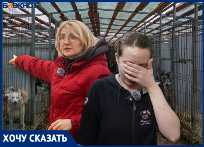 Смерть грозит почти двум тысячам животных в крупнейшем приюте Волгограда