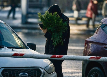 Запах хвои и солений: атмосфера последнего дня 2025 года в Волгограде 