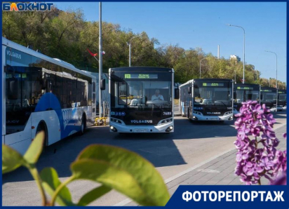 Пятнадцать новеньких автобусов выйдут на популярный маршрут №21 в Волгограде 