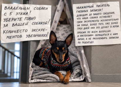 Войну записками объявили соседи волгоградке из-за фантомных экскрементов: видео завирусилось в сети 