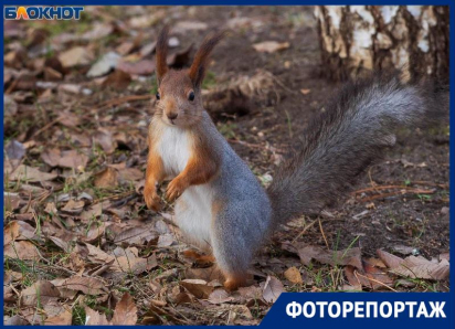 Показываем аномально жаркий январь в Волгограде: тепло как в Сочи