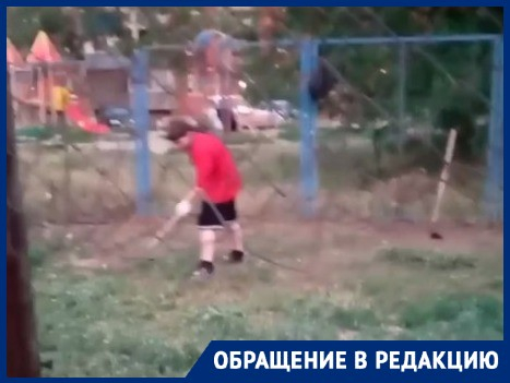 Рискуя быть укушенными клещами дети в Волгограде пропалывают дворы вместо УК