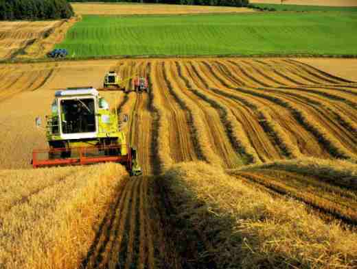 Волгоградская область получит 440 млн на поддержку сельского хозяйства