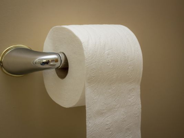 Администрация Волжского закупила 500 рулонов туалетной бумаги