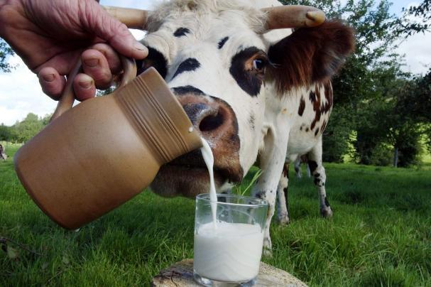 Волгоградцы тратят на молоко больше, чем на алкоголь
