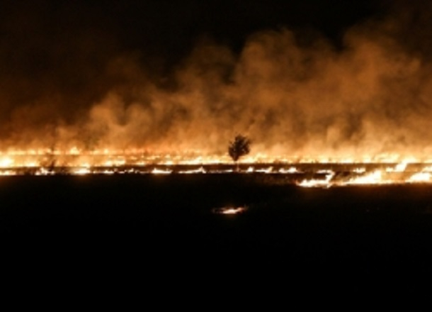 МЧС сообщает о высокой пожароопасности в Волгограде на выходных