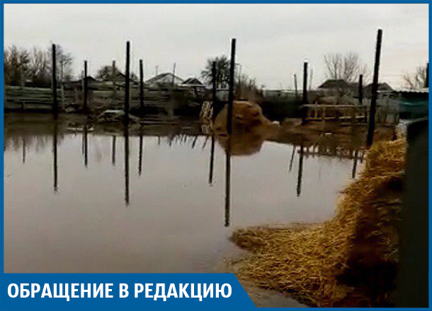 Паводок в Иловлинском районе: утонувший скот и затопленные дома