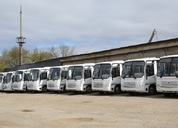 Семь автобусов вышли на маршрут №59 в Волгограде