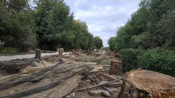 По приказу властей начато уничтожение аллеи на центральной набережной Волгограда