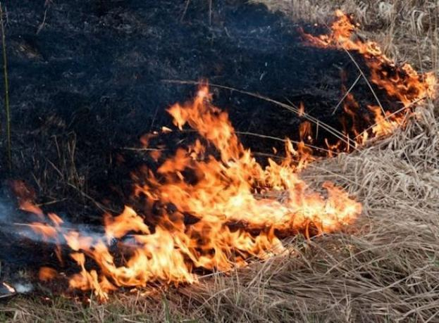 Волгоградский губернатор готовится отменить особый противопожарный режим