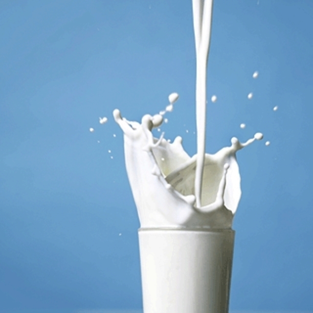 Волгоград отметил День молока