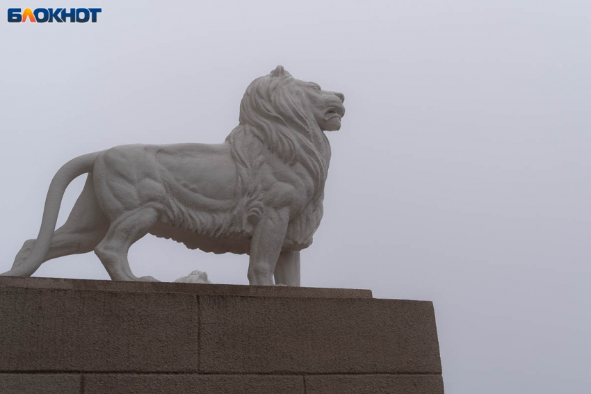 Волгоградцев 4 апреля ждет мелкий дождь и прогрев воздуха до +19 градусов