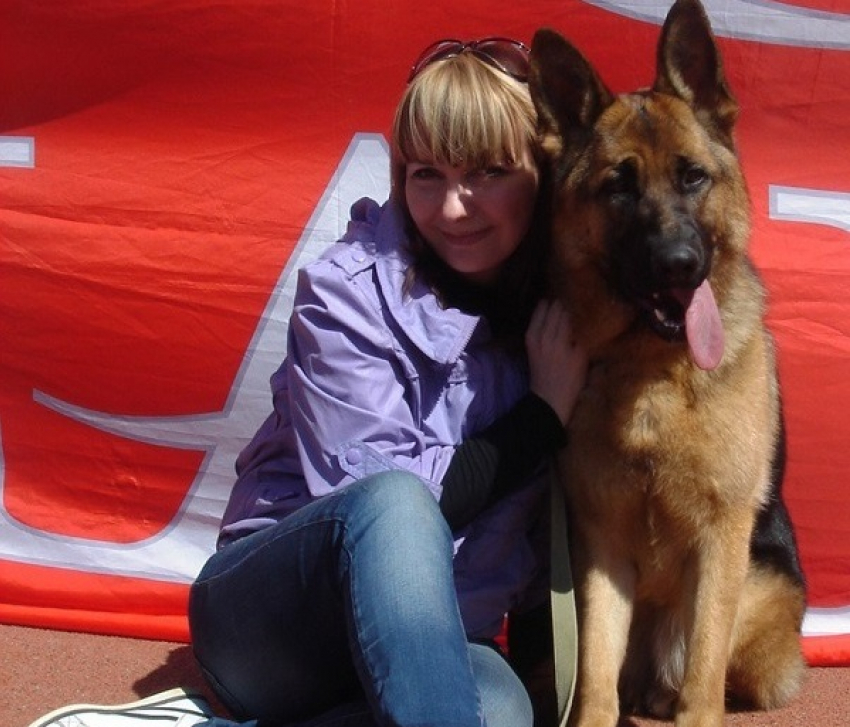 Как решить проблему бродячих собак, рассказала зоозащитница из Волгограда 