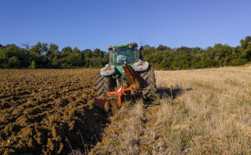 Битва за урожай: сбежавший в Липецкую область бизнес не может расстаться с волгоградскими землями