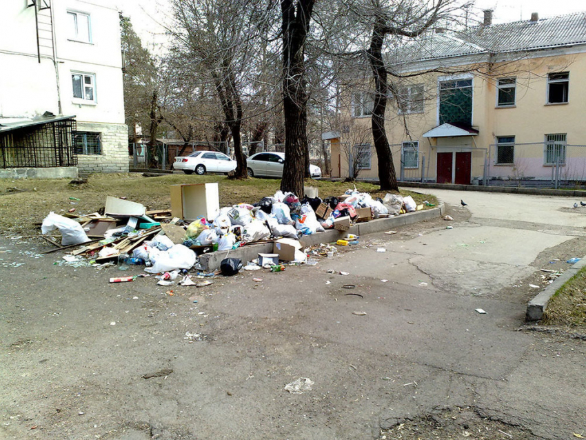 В Волгоградской области из-за скопившегося мусора экологи бьют тревогу