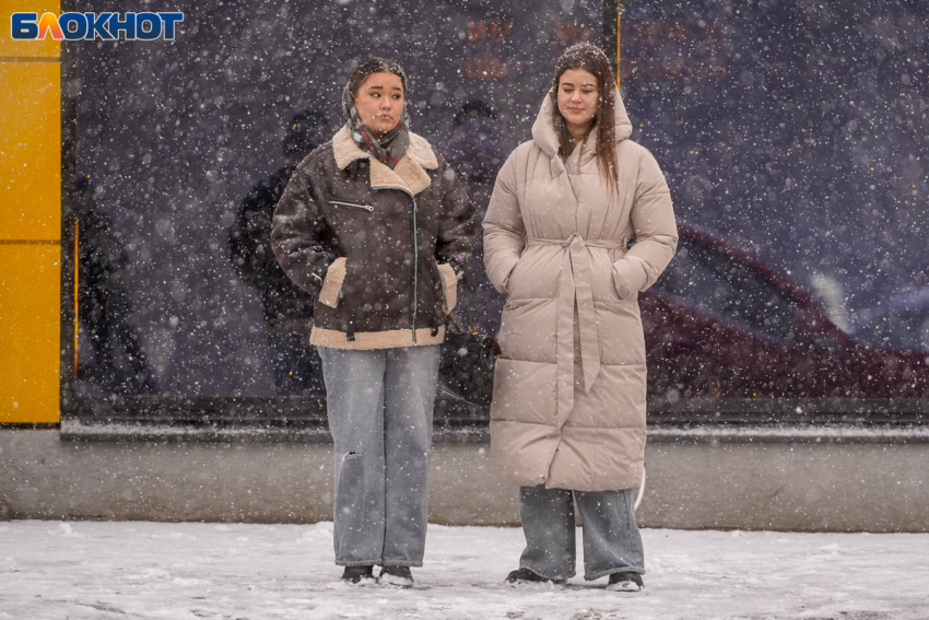 Резкое потепление придет в Волгоград после крещенских морозов 