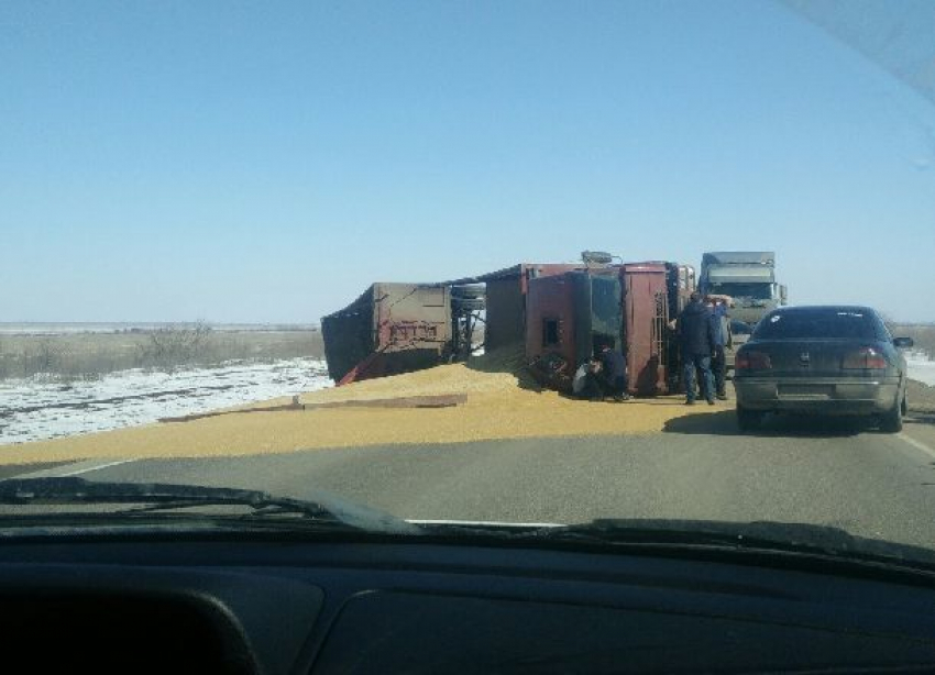 Перевернувшийся грузовик завалил зерном трассу под Волгоградом и попал на видео