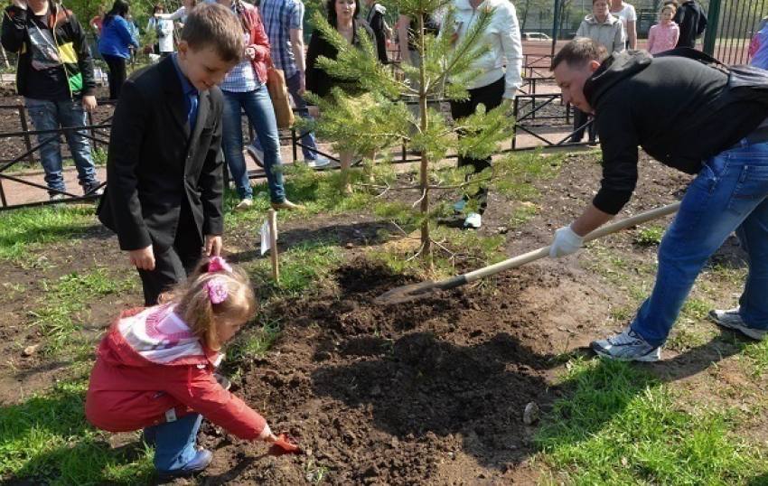 Жители Волгограда посадили на улицах города 3 тысячи деревьев