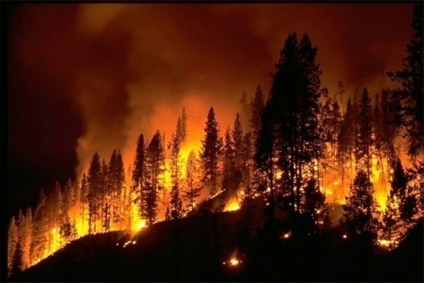 В Волгоградской области объявлено экстренное предупреждение
