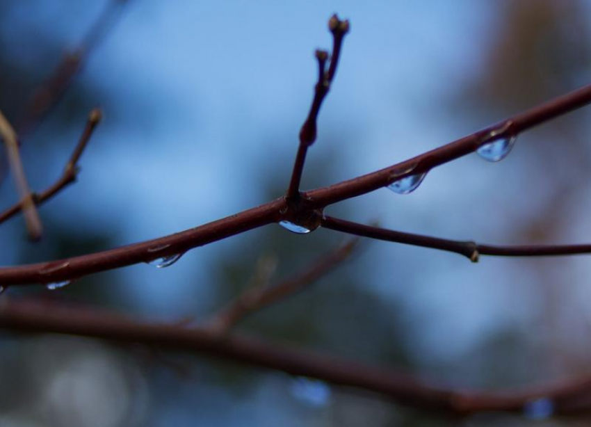Мокрый снег придет в Волгоградскую область