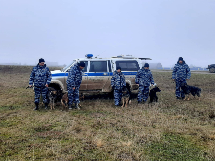 В поле под Волгоградом нашли тело пропавшего  16-летнего подростка 