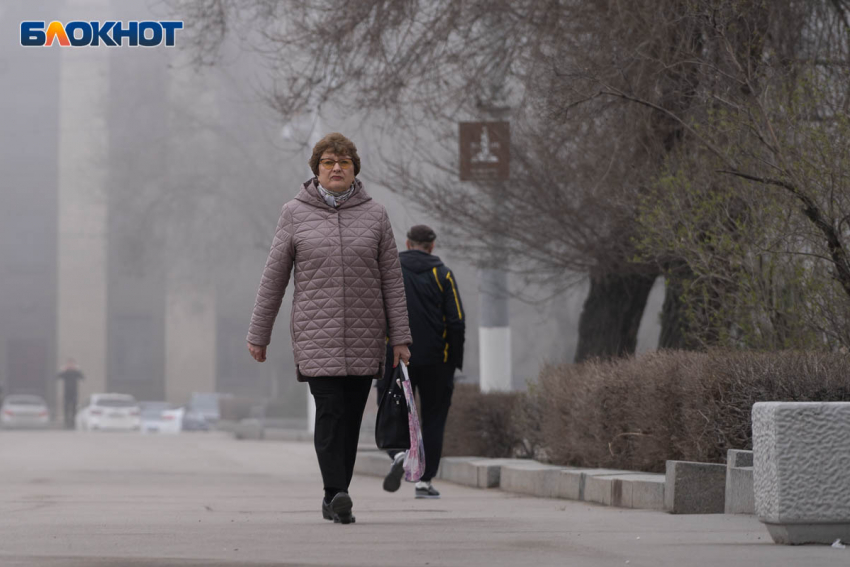 Тепло до +22 градусов и легкий дождь: синоптики о погоде в Волгоградской области