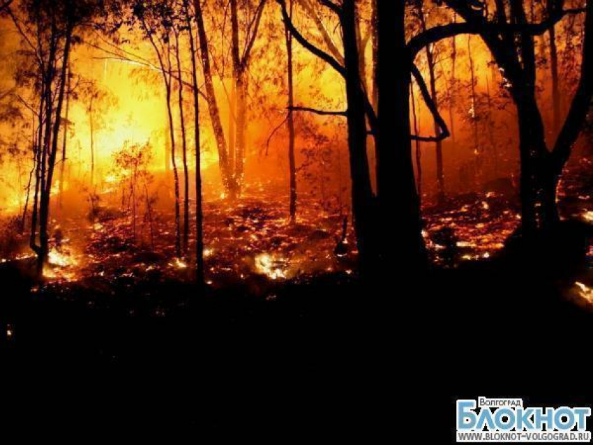 В Волгоградской области объявлена чрезвычайная пожароопасность