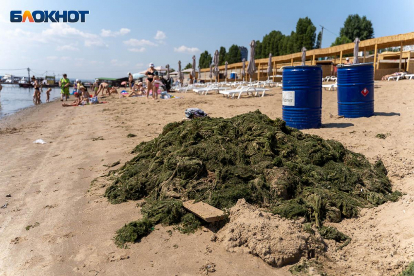 Дату открытия купального сезона назвали в Волгоградской области
