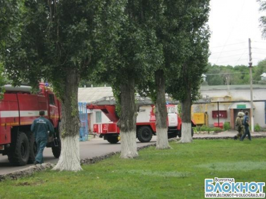 В Волгоградской области эвакуирован 331 пациент психлечебницы