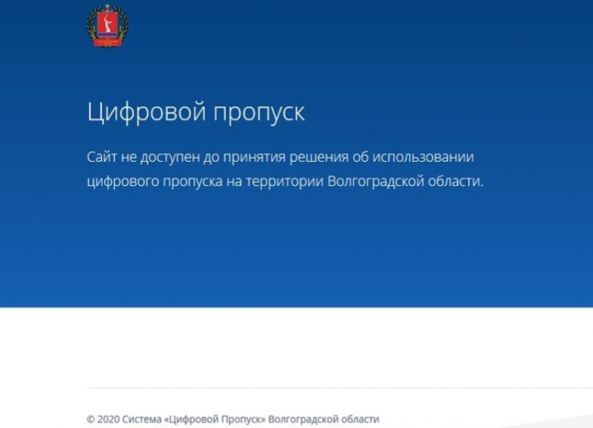  «Высока вероятность утечки персональных данных»: волгоградский активист о сайте по выдаче цифровых пропусков