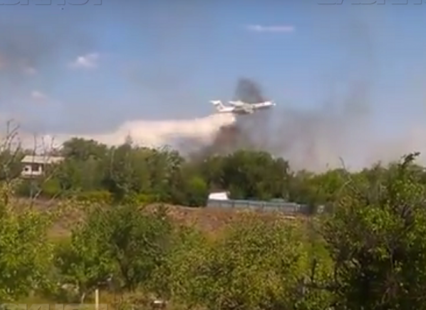 Волгоградские чиновники до сих пор не помогли пострадавшим в ландшафтных пожарах