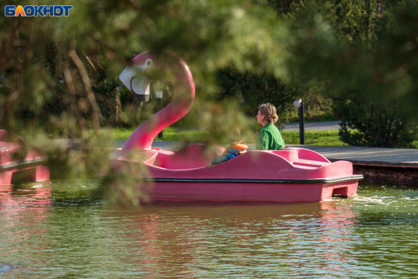 Мода на имена для женщин со стальным характером наметилась в Волгограде