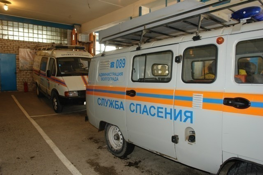 В Волгограде ветер повалил дерево на газовую трубу