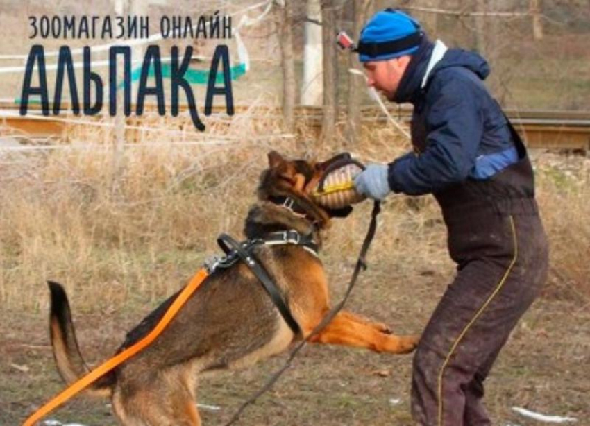 Аксессуары и амуниция для выставок и дрессировки. Подробнее, заходи в Справочник