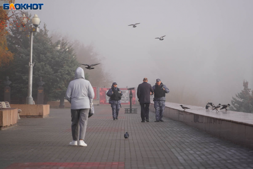 Ночь в условиях опасности прилета БПЛА провели волгоградцы