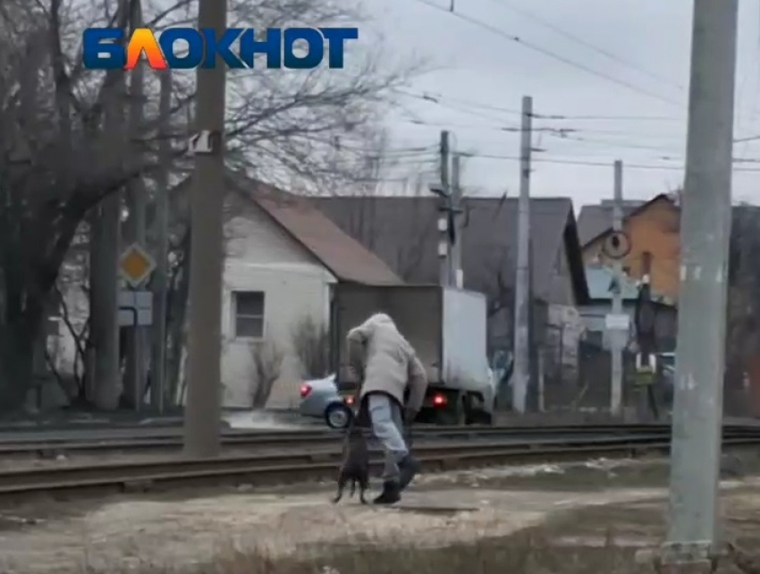 «Хватит бить собаку!»: бездушное избиение пса в Волгограде попало на видео